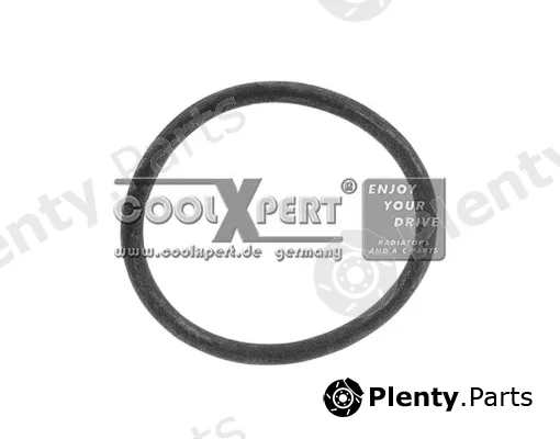 BBR Automotive 002-60-03838 — Gasket, coolant flange - coolXpert