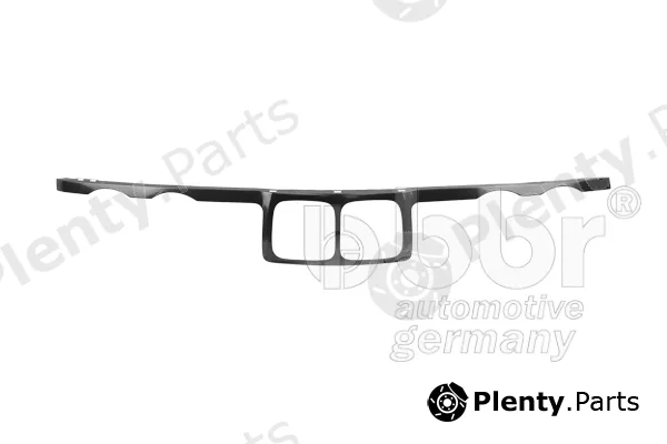 BBR Automotive 003-80-13881 — Cover, radiator grille