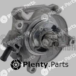Pierburg 7.24807.93.0 — Vacuum Pump, braking system