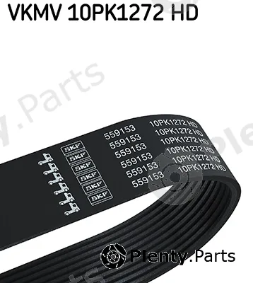 SKF VKMV10PK1272HD — V-Ribbed Belt