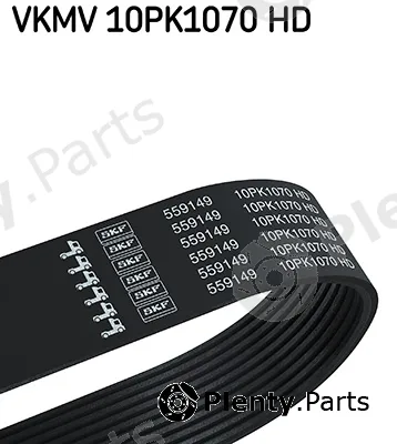 SKF VKMV10PK1070HD — V-Ribbed Belt