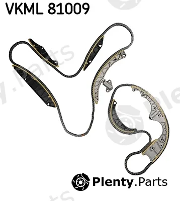 SKF VKML81009 — Timing Chain Kit