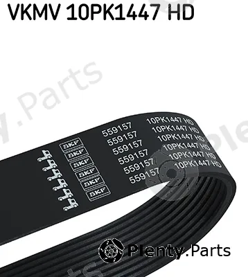 SKF VKMV10PK1447HD — V-Ribbed Belt