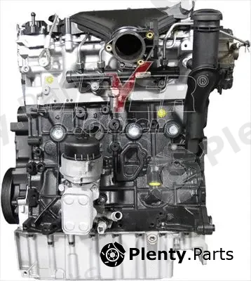 Meyer 110004200 — Complete Engine MM Semi-complete engine Volvo 2.0 D (CR)