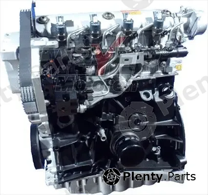 Meyer 090005710 — Complete Engine MM Semi-complete engine Renault 1.9 dCi (CR)