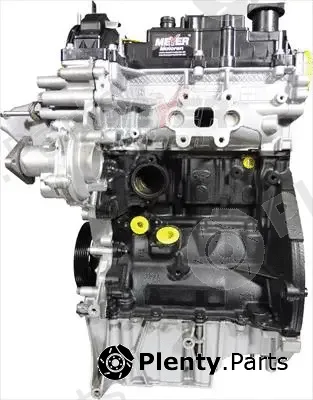 Meyer 040004140 — Complete Engine MM Semi-complete engine 1.0