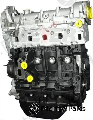 Meyer 061999420 — Complete Engine MM Short block w cyl.head Fiat 1.3 D