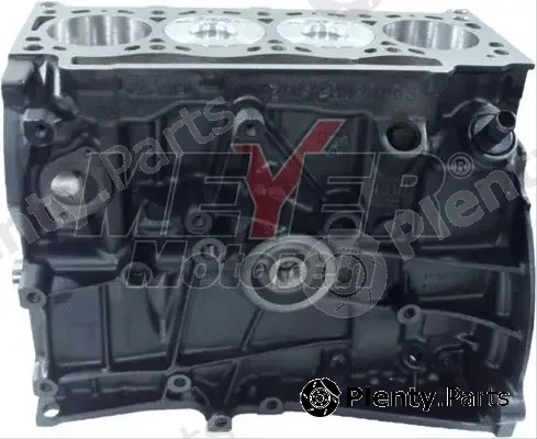 Meyer 090995760 — Partial Engine MM Short block Renault 1.9 dCi (CR)