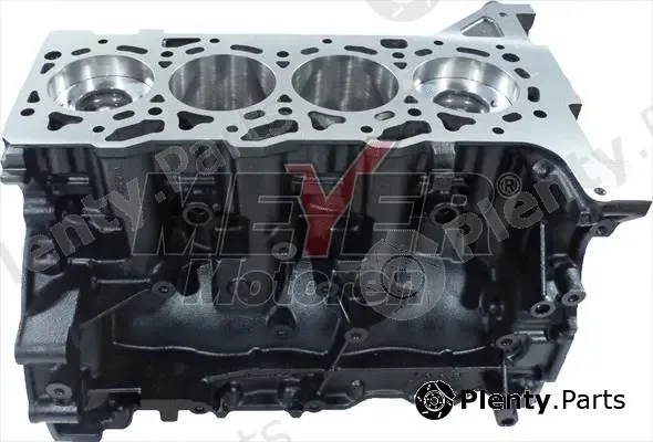 Meyer 040993540 — Partial Engine MM Short block Ford 2.2 TDCi 16V