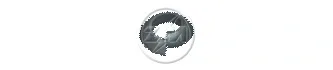 ZM ZM16.007.04 — Wheel Nut Wheel Conic Lock Washer