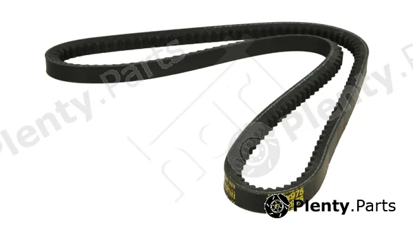 Hart 331661 — V-Belt