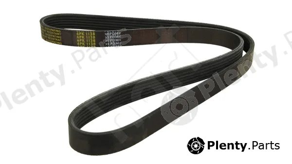 Hart 331876 — V-Ribbed Belt