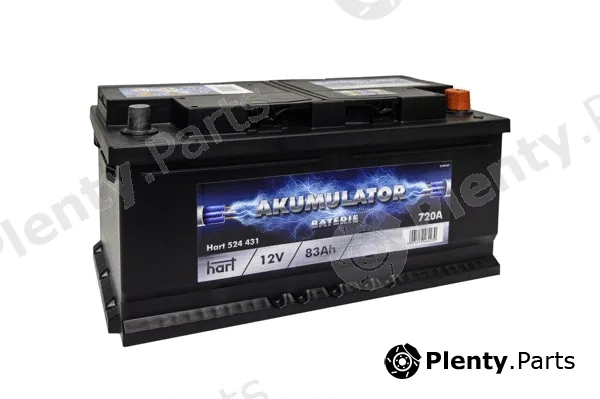 Hart 524431 — Starter Battery