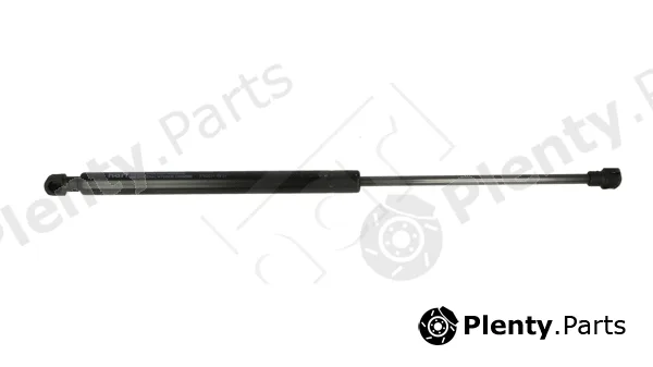 Hart 813924 — Gas Spring, boot/cargo area