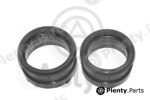 Aslyx AS-202119 — Charge Air Hose