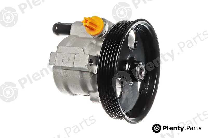A.Z. Meisterteile AZMT-42-061-1000 — Hydraulic Pump, steering