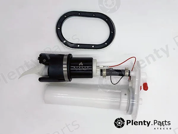 Atecso PMC00196GR — Fuel Pump