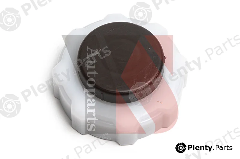 Ysparts YS-YXG119 — Cap, coolant tank