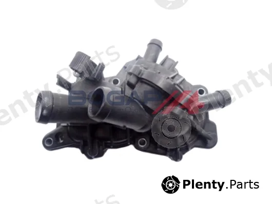Bogap A4252183 — Coolant Flange