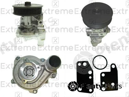 Extreme 98600011 — Water Pump, engine cooling