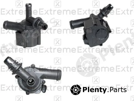 Extreme 98980786 — Auxiliary Water Pump (cooling water circuit)