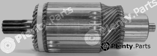 GM IM3034/24 — Armature, starter