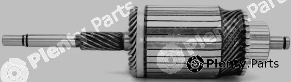 GM IM74 — Armature, starter