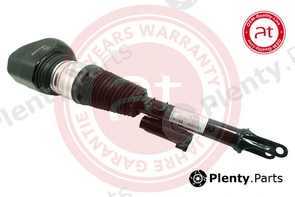 at autoteile germany at12581 — Air Suspension Strut