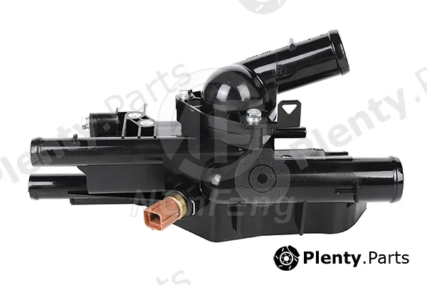 Nanfeng NF0221 — Thermostat, coolant