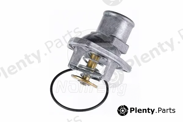 Nanfeng NF0584 — Thermostat, coolant
