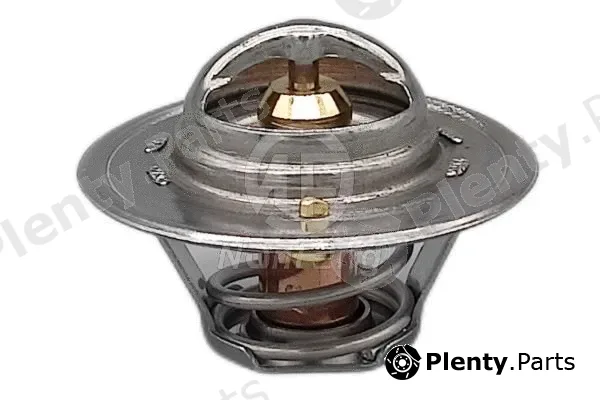 Nanfeng NF13256 — Thermostat, coolant