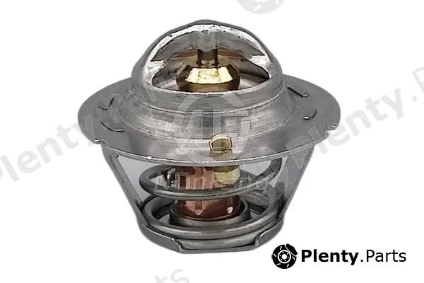 Nanfeng NF13001 — Thermostat, coolant
