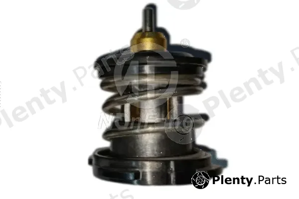 Nanfeng NF13021 — Thermostat, coolant