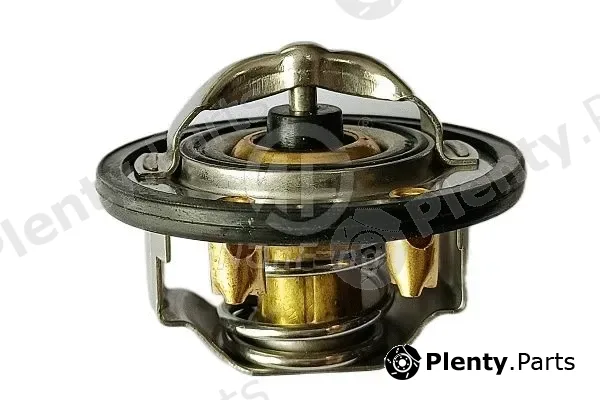 Nanfeng NF13134 — Thermostat, coolant