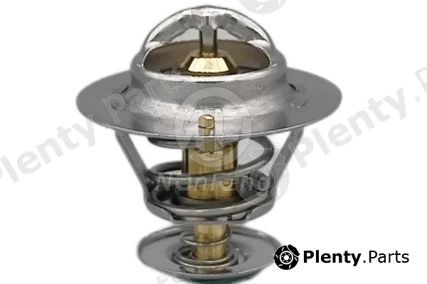 Nanfeng NF13245 — Thermostat, coolant