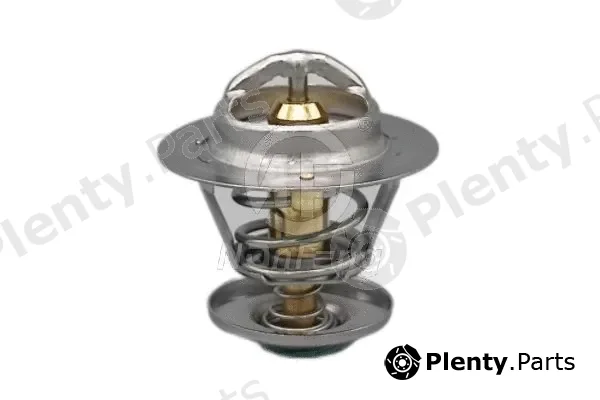 Nanfeng NF13239 — Thermostat, coolant