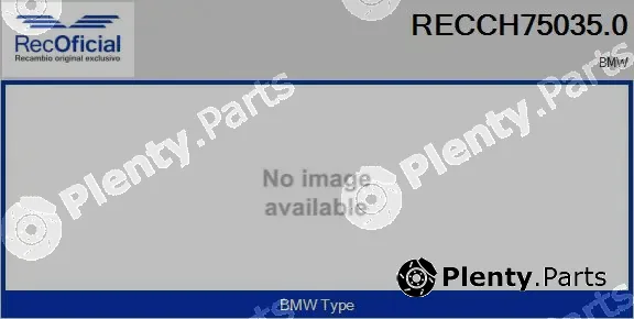 Recoficial RECCH75035.0 — Core assembly, turbocharger