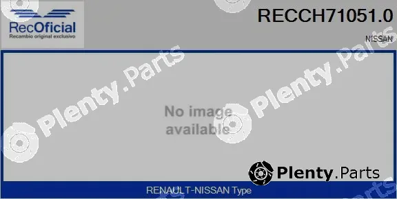 Recoficial RECCH71051.0 — Core assembly, turbocharger