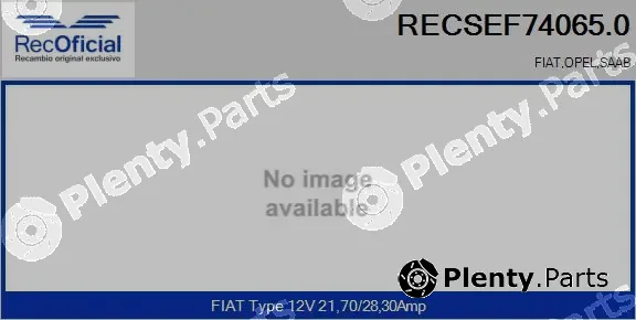 Recoficial RECSEF74065.0 — Electric Motor, radiator fan