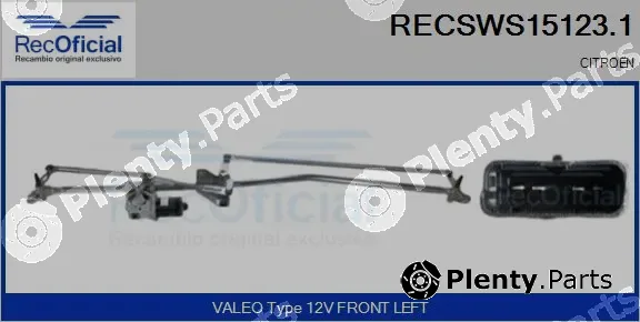 Recoficial RECSWS15123.1 — Window Cleaning System