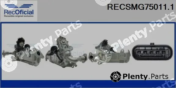 Recoficial RECSMG75011.1 — EGR Module