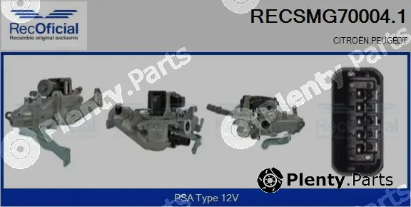 Recoficial RECSMG70004.1 — EGR Module