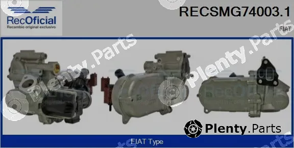 Recoficial RECSMG74003.1 — EGR Module