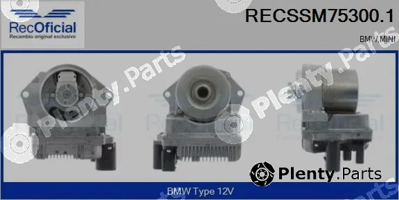 Recoficial RECSSM75300.1 — Electric Motor, steering gear