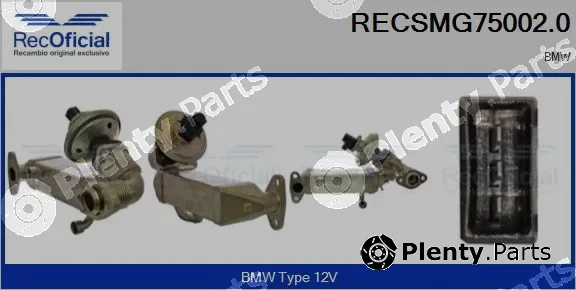 Recoficial RECSMG75002.0 — EGR Module