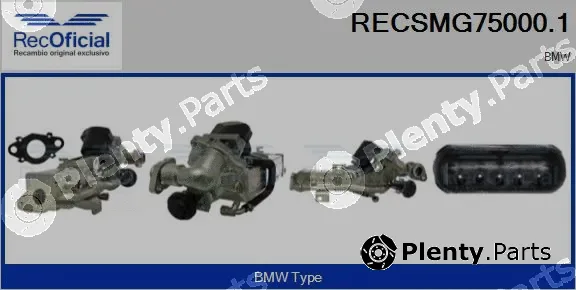 Recoficial RECSMG75000.1 — EGR Module