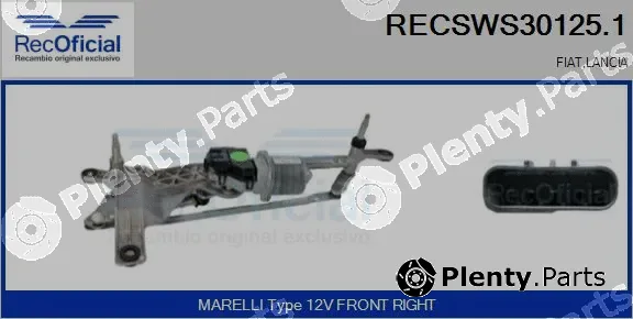 Recoficial RECSWS30125.1 — Window Cleaning System