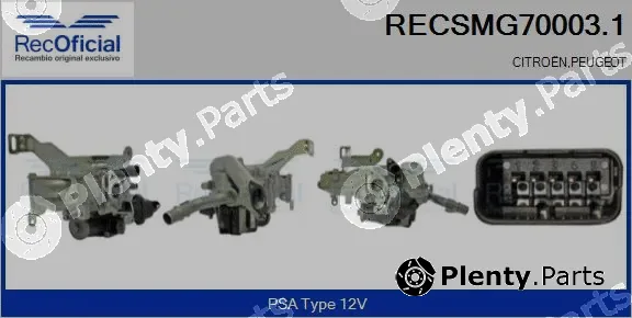Recoficial RECSMG70003.1 — EGR Module