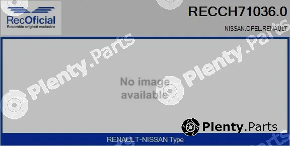Recoficial RECCH71036.0 — Core assembly, turbocharger