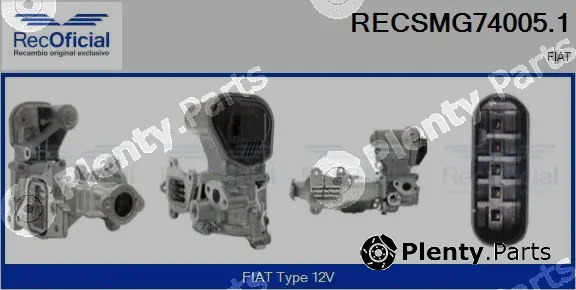 Recoficial RECSMG74005.1 — EGR Module